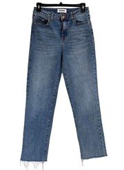 RSQ SZ 27 High-Rise Straight Jeans Zip-Fly Frayed Hems Stretch Medium Wash Blue
