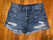 Mom Jean Denim Shorts