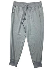 NWOT Large Lg Danskin Now Womens Jogger Pants Gray 12-14 Elastic Waist Pull On