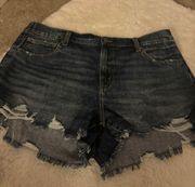 Stretch Jean Shorts