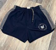 Milwaukee Brewers Shorts By PINK