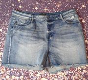 Judy blue distressed shorts size 3XL plus