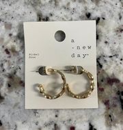 Gold Hoop Earrings 