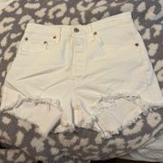 501 Shorts