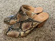 & Co Jacy Perforated Taupe Snakeskin Mules Size 7.5