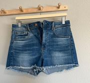 American Eagle Outfitters Shorts