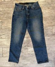 NWT Banana Republic Denim Jeans Curvy Girlfriend 28 / 6 Low rise Stretch