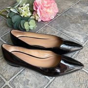 Banana Republic Shiny Black Pointed Flats