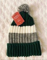 American Needle Nordstrom Unisex Green Striped Ribbed Knit Foldover Beanie