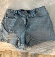 Hollister  Jean Shortss