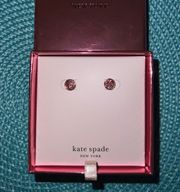 Kate Spade NEW YORK Pink PAVE DISC STUD EARRINGS New In Box With Tags