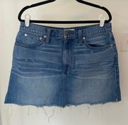 Denim Mini Skirt