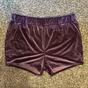 Torrid Curve Velvet Purple Shorts Size 2