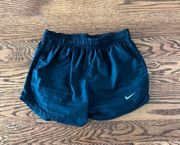 Black Dri-Fit Shorts