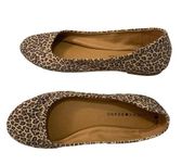 Lucky Brand | Animal print flats size 8.5