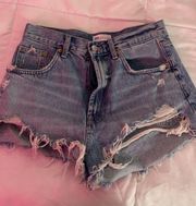 ZARA Ripped Jean Shorts