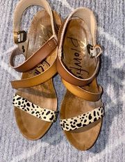 blowfish malibu sandals 7.5 Wedge Leopard Print Worn Once