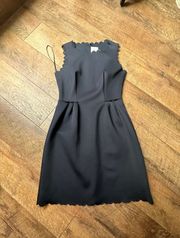 Navy Shift Dress