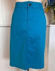 Kim Rogers Blue Pencil Skirt