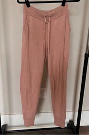 Express 100% Cashmere Joggers