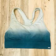 PINK - Victoria's Secret Pink Victoria secret blue gray ombre sports bra sz Medium.