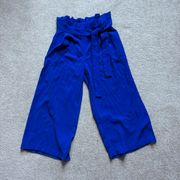 Blue Dress Pants