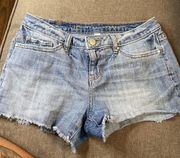 Lauren Conrad Shorts