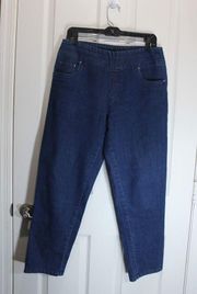 Blair Pull On Stretch Jeans size 10P