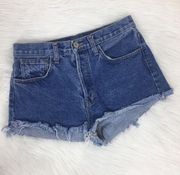 Brandy Melville John Galt  Cheeky Denim Shorts