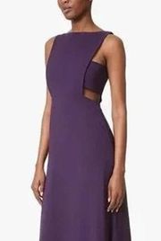 Jill Jill Stuart elderberry purple side cut out ball gown size 12