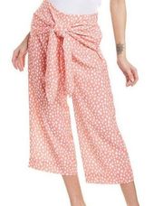 CROSBY BY MOLLIE BURCH Dorothy Pants Small Cropped Wilcat Clay Retail $188 NWT