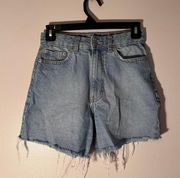 High Waisted Denim Shorts