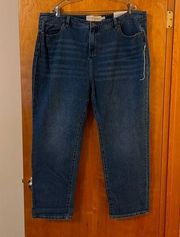 Soft Surroundings The Ultimate Denim Girlfriend 5 Pocket Straight Jeans Size 22W