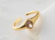 Revolve Natalie B Jewelry Tiana CZ Signet Ring Gold Womens Size OS