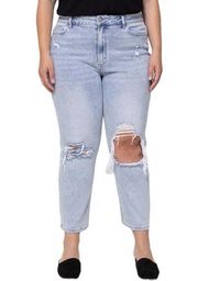 Vervet Distressed Mom Jeans 32