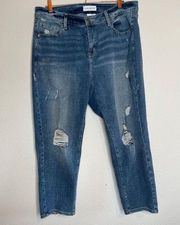 Lane Bryant distressed high rise straight jeans