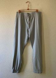 ZYIA Active Light Gray Ankle Zip Everywhere Jogger size large