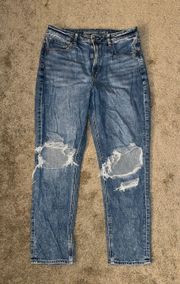 American Eagle Strigid Mom Jeans