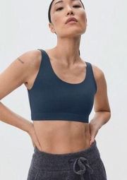 Everlane The Perform Bra Deep Blue