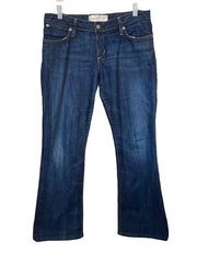 Paper Denim & Cloth bootcut size 29 blue jeans.