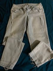 Dillard’s YMI Distressed Jeans