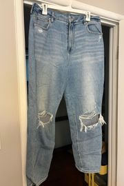 Outfitters Curvy Mom Jeans