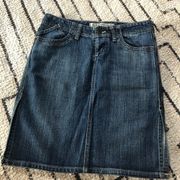 Express Jean skirt