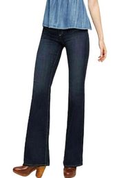 AG Adriano Goldschmied Womens Jeans The Colette Slim Bootcut Size 27 Dark Wash