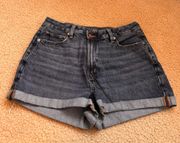 Outfitters Jean Shorts