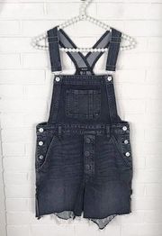 Hudson NWT Denim Short Overalls