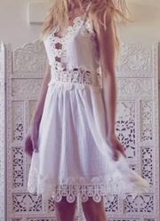 Saylor Tayler Gauzey Crochet Lace Mini Dress