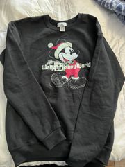 Walt World Parks Sweatshirt