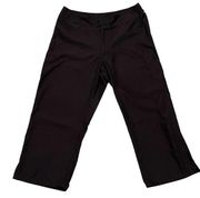 Patagonia Black Cropped Wide Leg Hiking Pants size 10