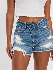 AE Strigid Denim Mom Short 14